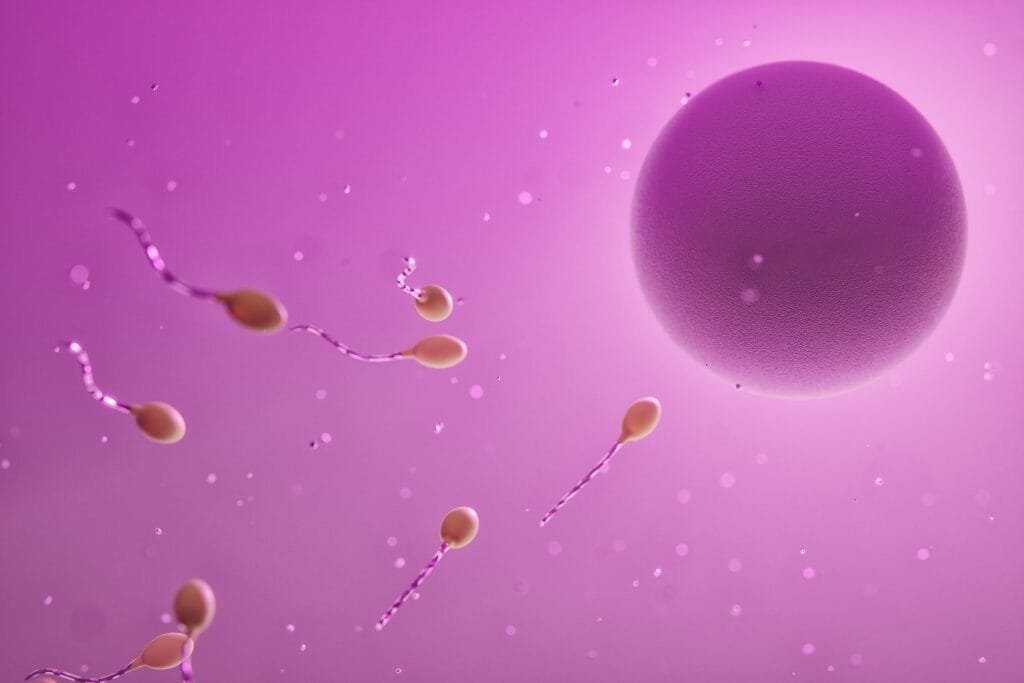 A microscopic image of sperm surrounding an egg.
