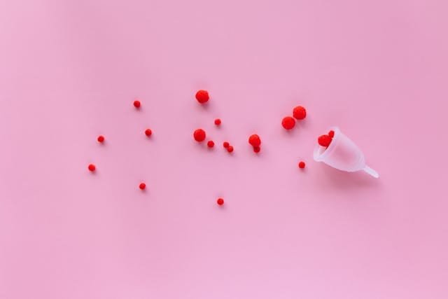 Ovulation Cycle Calculator
