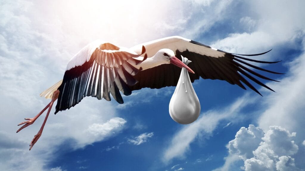 A stork carrying a baby in a blanket.
