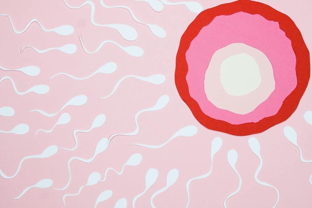 sperm surrounding an egg