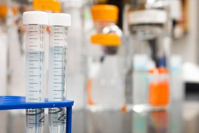 In Vitro Fertilization