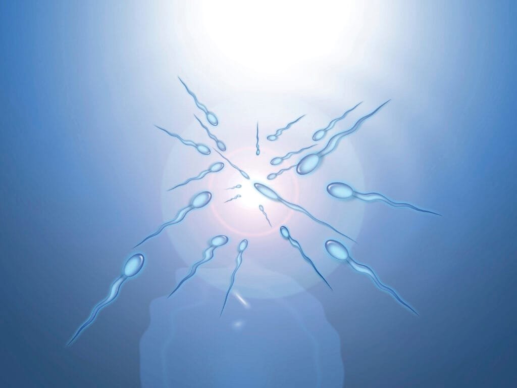 A microscopic view of sperm cells, also known as spermatozoa, swimming towards a bright light, possibly representing an egg.