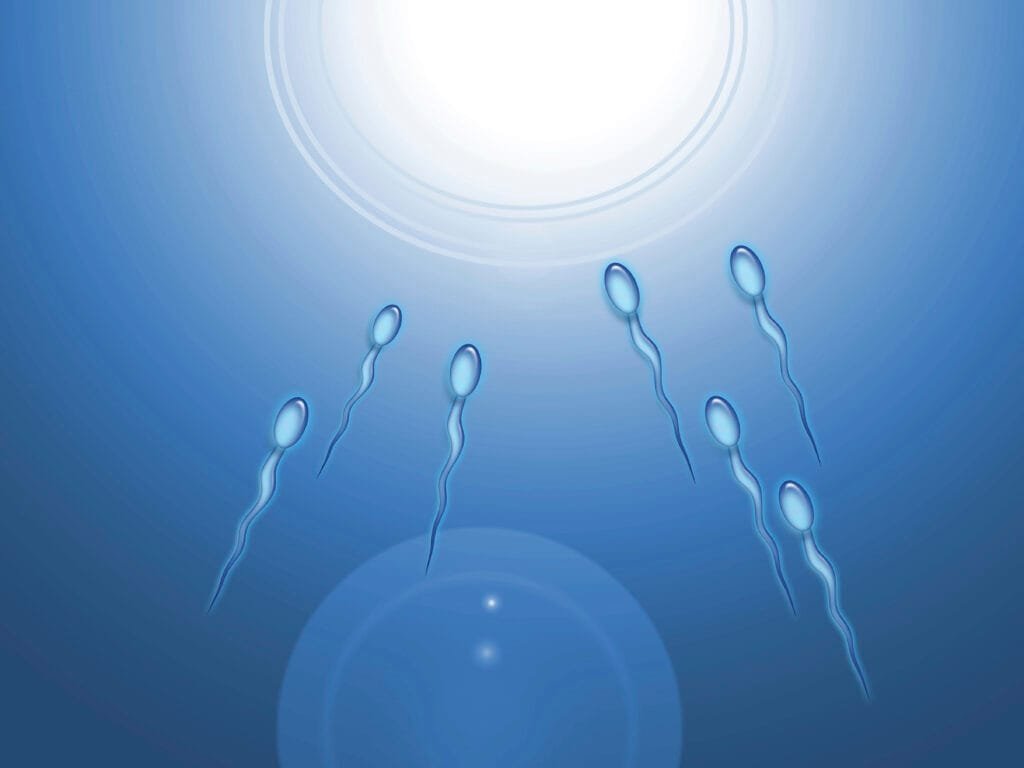Intracervical Insemination (ICI)