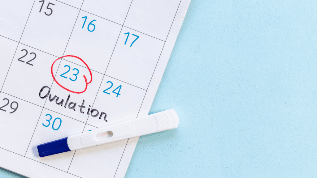 Ovulation date cycle