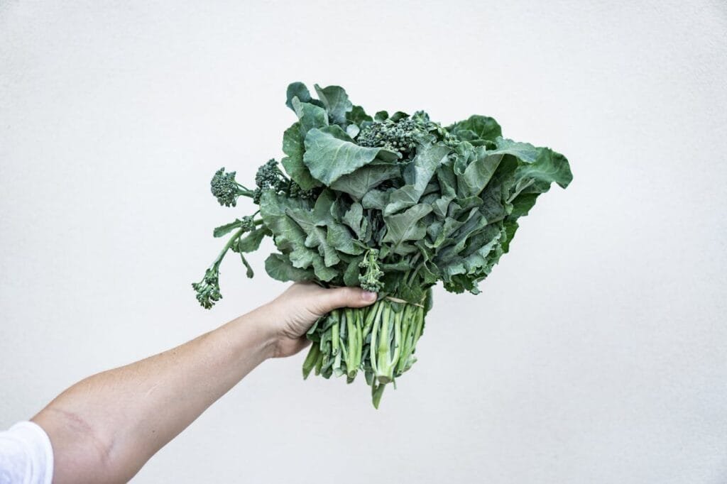 A hand holding a bunch of kale, a leafy green vegetable.