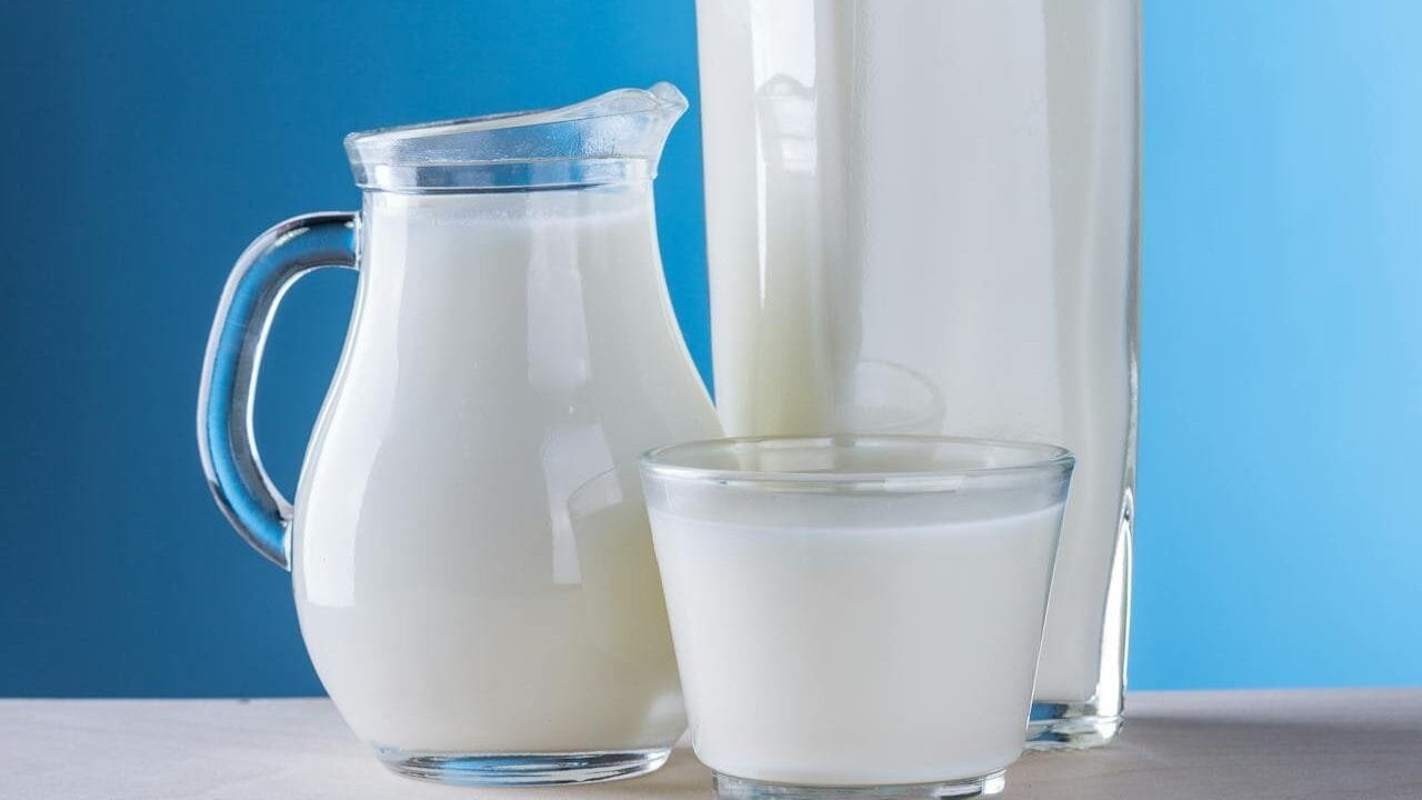This picture shows a glass and a pitcher filled with milk.